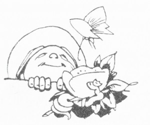 B20