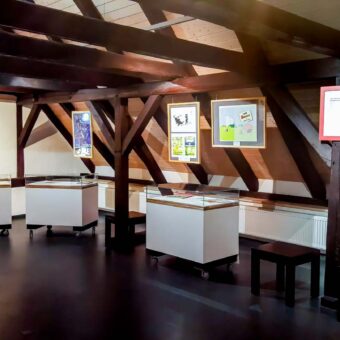 Hilke Raddatz - Wilhelm Busch-Preis-Ausstellung 2024