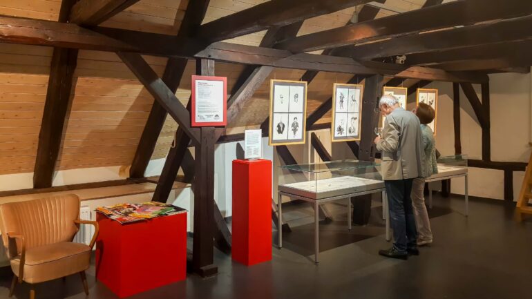Hilke Raddatz - Wilhelm Busch-Preis-Ausstellung 2024