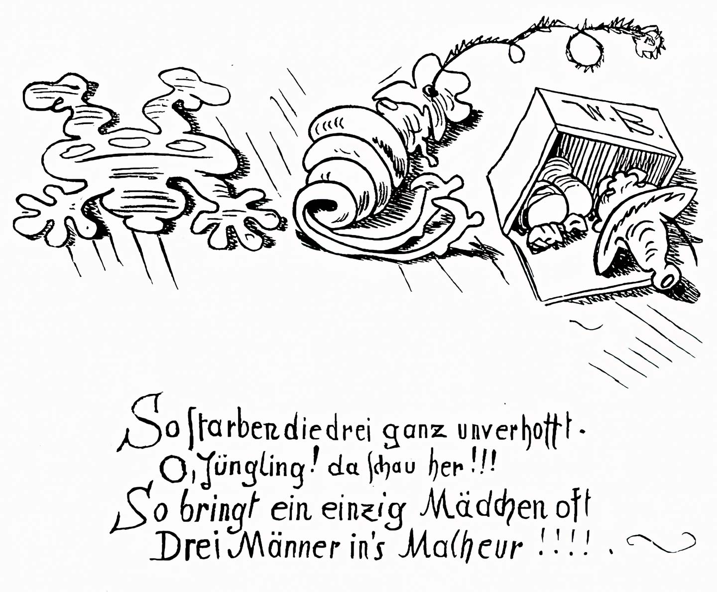 Die kühne Müllerstocher