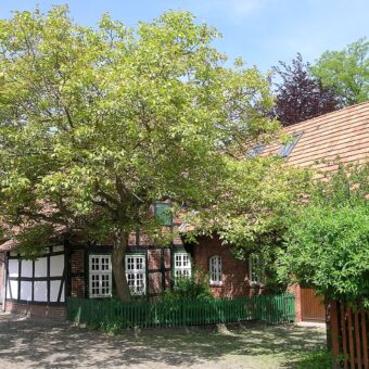 Wilhelm Busch Geburtshaus in Wiedensahl - Josef Lehmkuhl