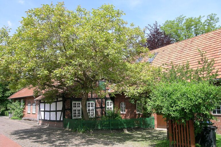 Wilhelm Busch Geburtshaus in Wiedensahl - Josef Lehmkuhl